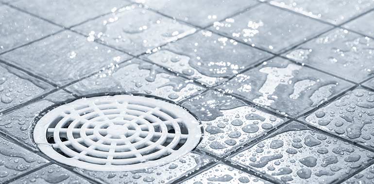 Picture Of A Shower Drain - Blocked Drains Sydney Picture Of A Shower Drain - Blocked Drains Sydney