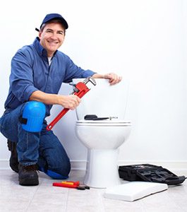 Plumber Annandale Sydney - fixing a toilet